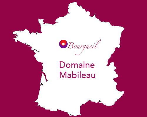 Domaine Mabileau