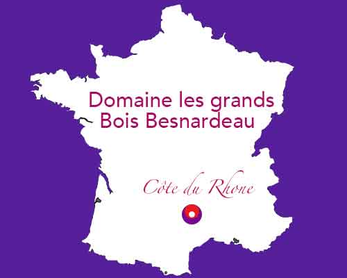  Domaine les Grands Bois Besnardeau